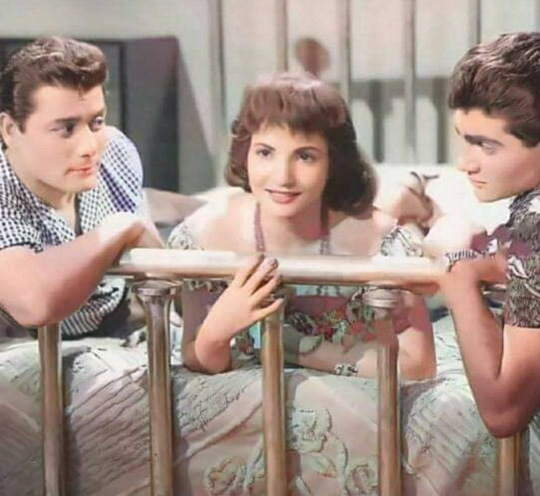 شكري سرحان ضرب يوسف فخر الدين علقة موت ودفع تعويض أكلة كباب