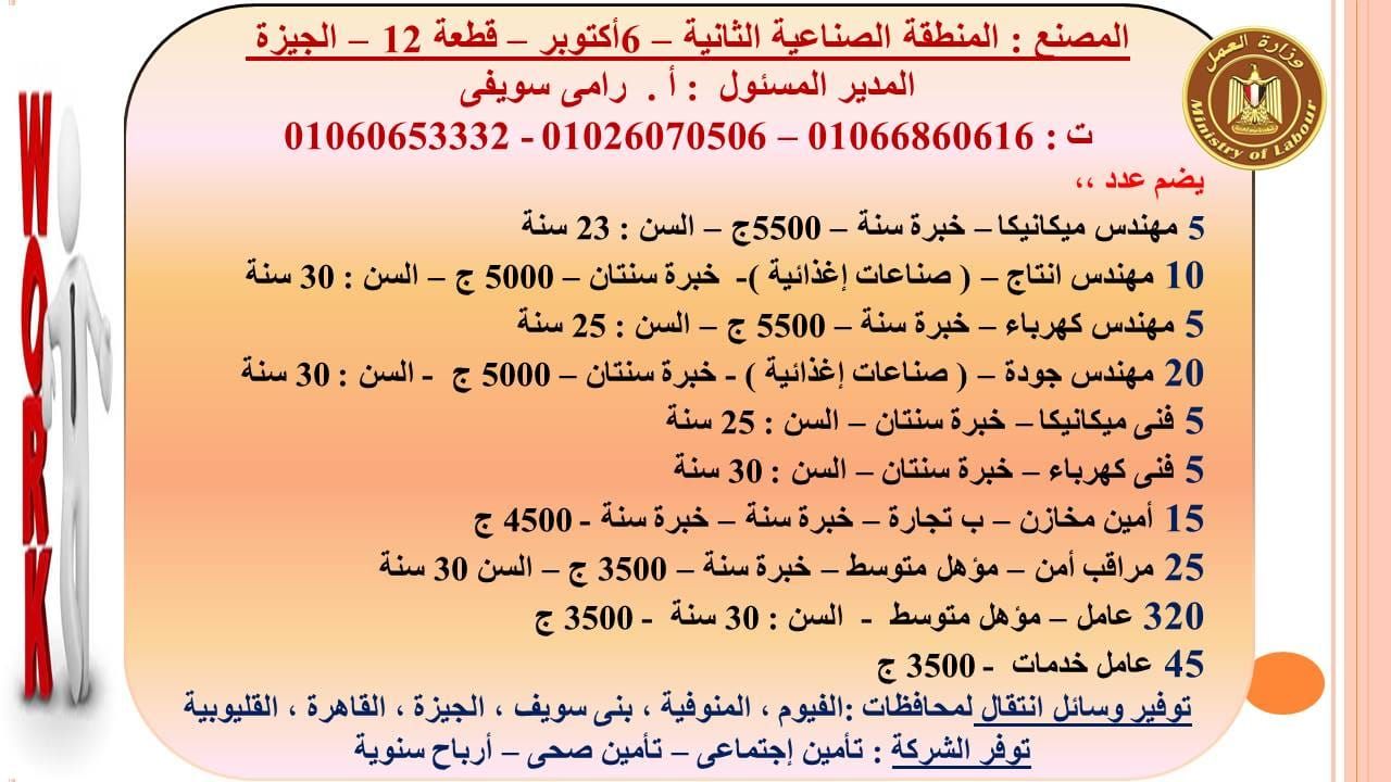 الحكومة تعلن فرص عمل للشباب.. مرتباتها تصل لـ6500 جنيه والمواصلات عليهم