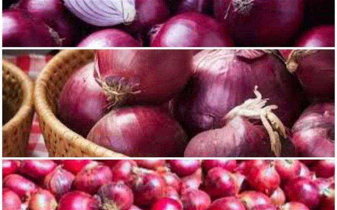 أخبار مصر | الأجهزة الرقابية تضبط محتكرو البصل.. معهم آلاف الأطنان ومسئول يفجر مفاجأة