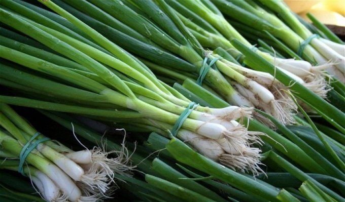 أخبار مصر | موعد انخفاض سعر البصل.. آلاف الأطنان بالأسواق بعد ضبط المحتكرين