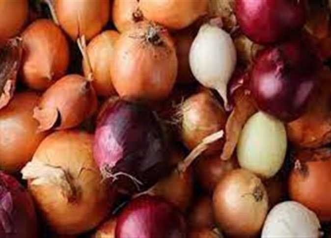 أخبار مصر | موعد انخفاض سعر البصل.. آلاف الأطنان بالأسواق بعد ضبط المحتكرين