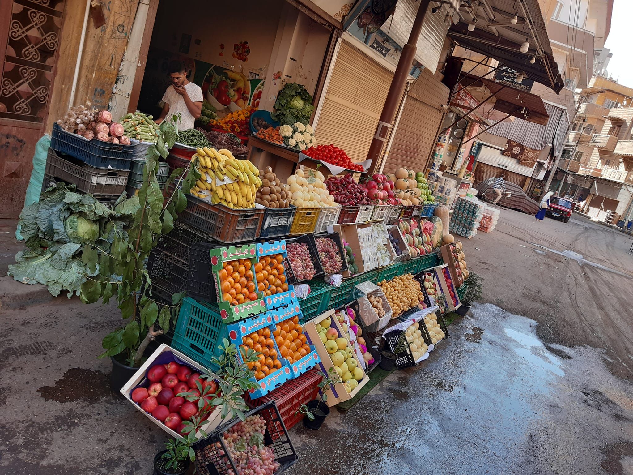 استمرار انخفاض أسعار البصل اليوم 25 ديسمبر.. هيبقى بـ3 جنيهات