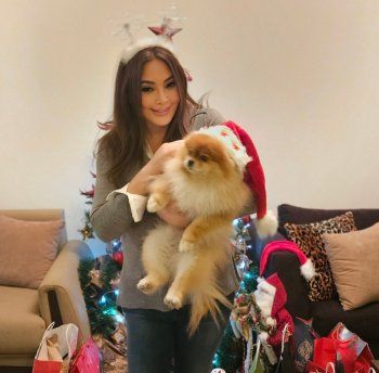 شاهد .. إليسا تتعرض لإصابة .. وصورها في عيد الميلاد تكشف المستور