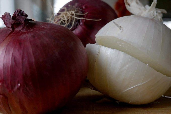 أخبار مصر | سعر البصل اليوم الأربعاء 27 ديسمبر 2023 .. لن تصدق عامل كام دلوقتي في السوق