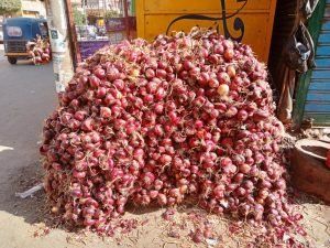 أخبار مصر | سعر البصل اليوم الأحد 7 يناير 2024 .. محدش يشتري النهاردة زيادة كبيرة