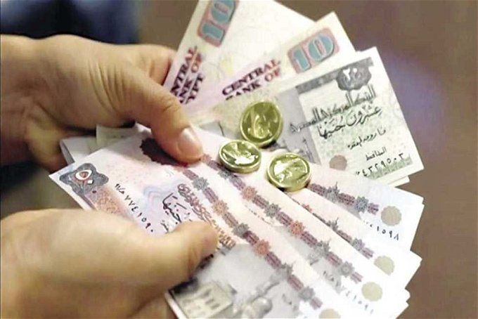 أخبار مصر | زيادة راتب الموظفين في يناير 2024.. الترقيات بقانون الخدمة المدنية تفاجئ الجميع