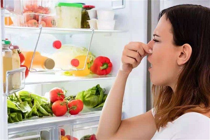 أخبار مصر | وفاة أب وابنه في الشرقية.. السبب طبق محشي اعرف التفاصيل