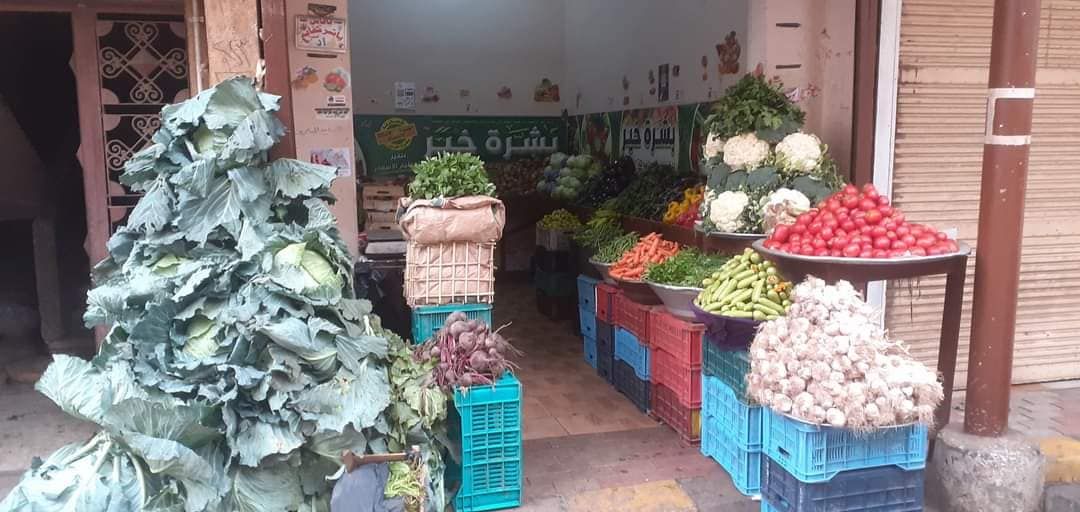 أسعار البصل اليوم 8 يناير بعد ظهور الفتيل.. تابع الجديد في سوق العبور