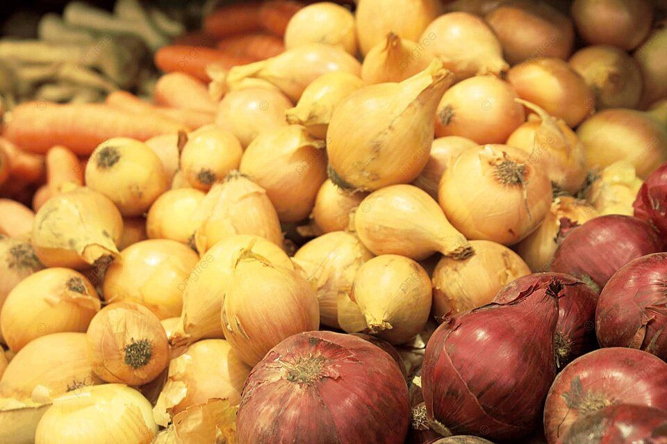 سعر البصل والخضار اليوم 9 يناير.. مفاجآت من سوق العبور بعد إجازة العيد