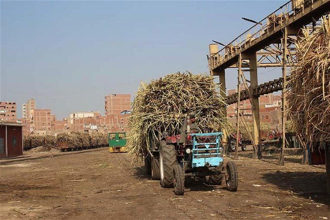 أخبار مصر | إغلاق مصنع سكر أبو قرقاص في المنيا.. أحمد موسى يكشف الحقيقة