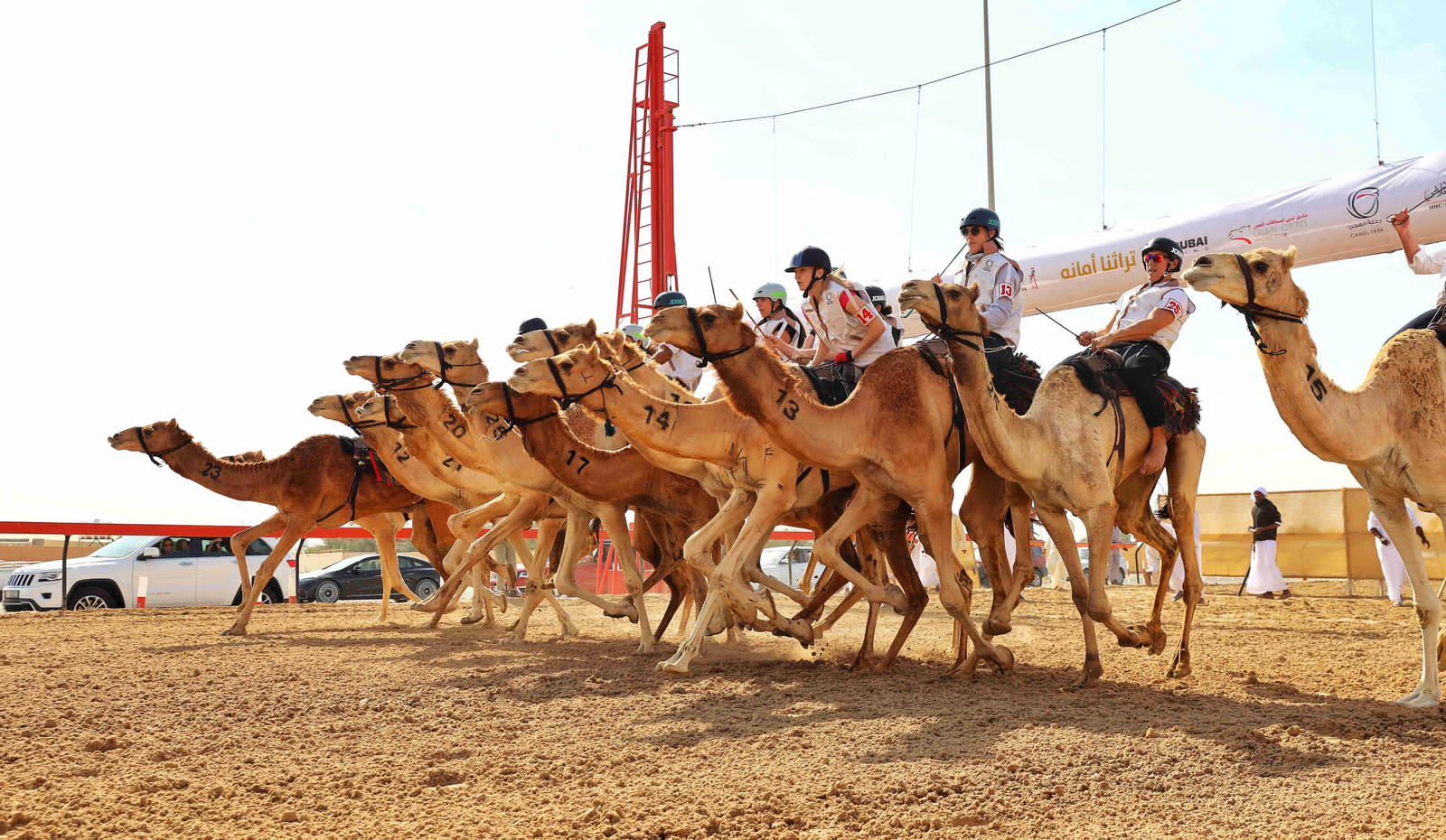 ضمن ختام فعاليات مهرجان ولي عهد دبي للهجن.. منصور بن محمد يتوّج أبطال ماراثون رحلة الهجن لغير المواطنين