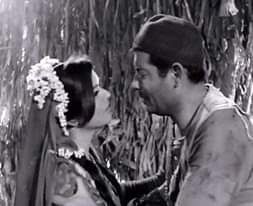 الزوجة الثانية فيلم بدون كومبارس