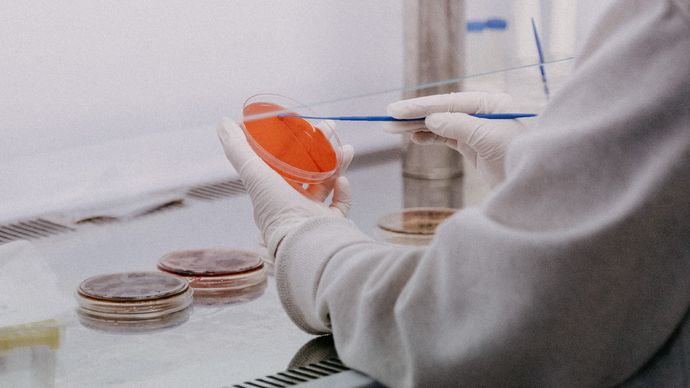 الجمعية الوطنية للتصلب المتعدد تمنح تمويلا لستة مشروعات مبتكرة في الدولة