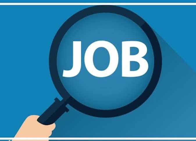 أخبار مصر | وظائف خالية في 3 وزارات.. بشرة خير للشباب اعرف موعد التقديم فيهم