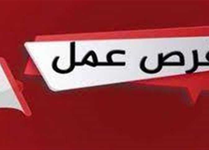 أخبار مصر | وظائف التعليم والبريد والطب الشرعي.. الرابط ومد فترة التقديم فيها