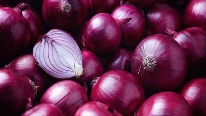 ردت تاني| تحريك أسعار البصل اليوم 9 فبراير.. وكلام مهم عن عودة تصديره