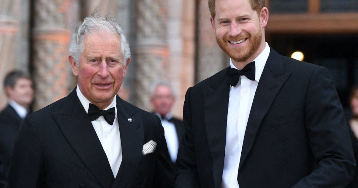 شاهد .. بعد لقائهما.. هذا ما قاله الأمير هاري عن مرض والده الملك تشارلز