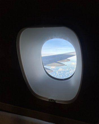 شاهد .. من داخر الطائرة..ياسمينا زيتون تتألق بإطلالة رائعة في طريقها إلى لبنان