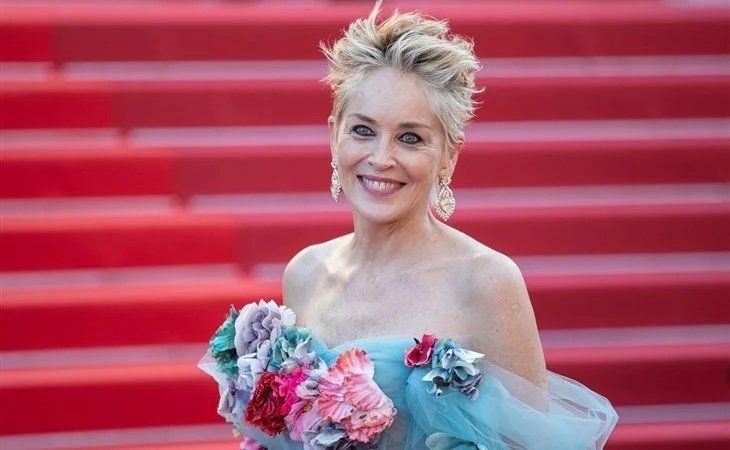 شاهد .. شارون ستون تتألق بإطلالة عصرية أنيقة