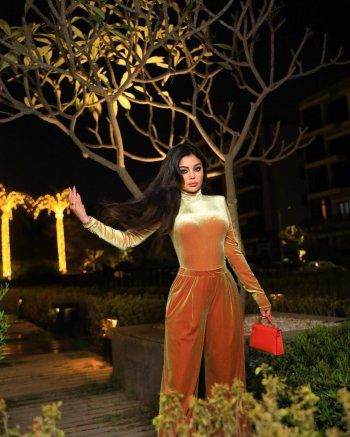 شاهد .. هيفا وهبي بإطلالة ذهبية حابسة للأنفاس .. وهذا سعر حقيبتها الصغيرة