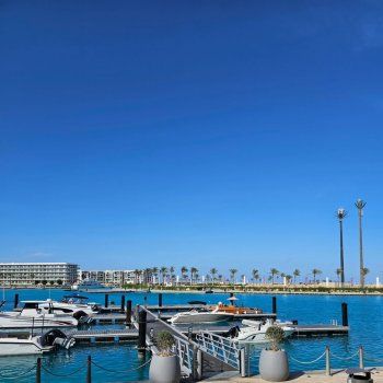 d3847932e2.jpg