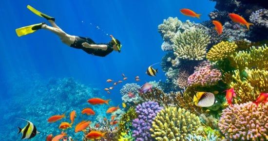 انطلاق أول سفينة سياحية سعودية من جدة إلى شرم الشيخ