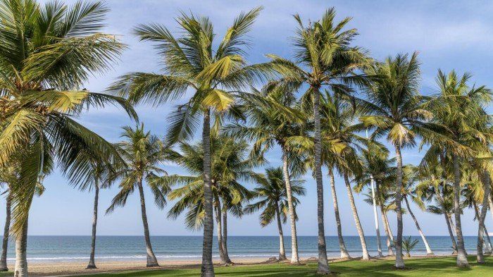 خبير مناخ يشير إلى «إحدى علامات الساعة الصغرى» في جزيرة العرب.. ما القصة؟