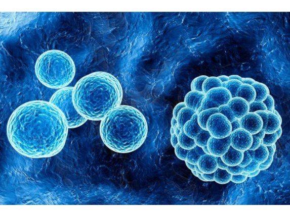 اكتشاف طفرة جينية قد تساعد على إبطاء نمو أنواع أخرى من السرطان