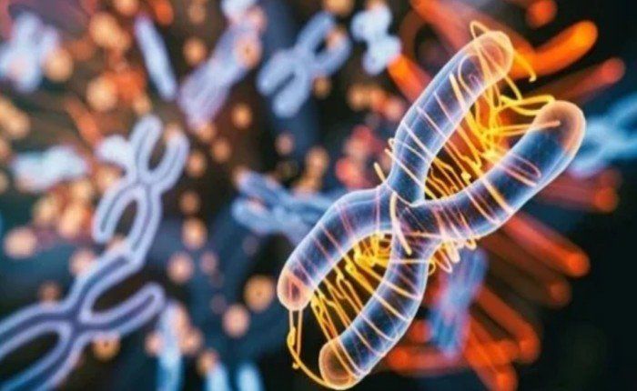 اكتشاف أول حالة لمرض "VEXAS" النادر في مصر.. ما التفاصيل؟