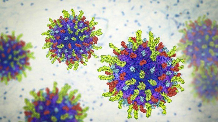 دراسة تكشف ارتباطًا بين فيروس الهربس ومرض ألزهايمر