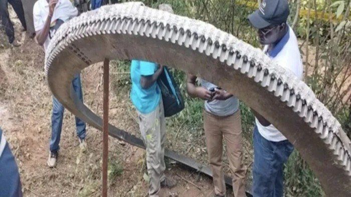 زائر من الفضاء يسقط في كينيا ويثير الذعر بين السكان.. ماذا يحدث؟