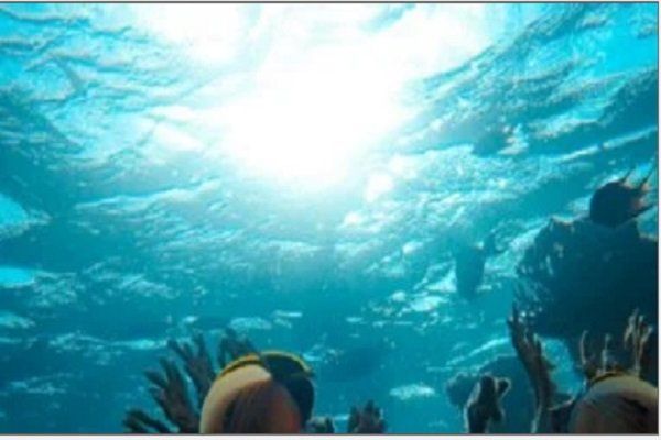 دراسة تكشف أسرار تخزين الكربون في المحيط ودوره في تنظيم المناخ.. ما التفاصيل؟