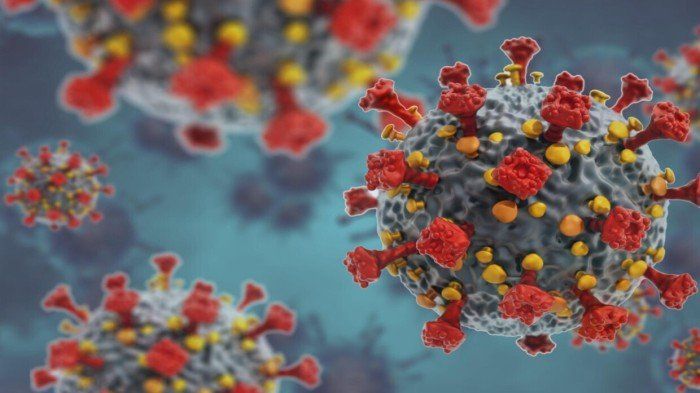 ما حقيقة الفيروس الجديد "HMPV" المنتشر في الصين الذي يثير قلق العالم؟