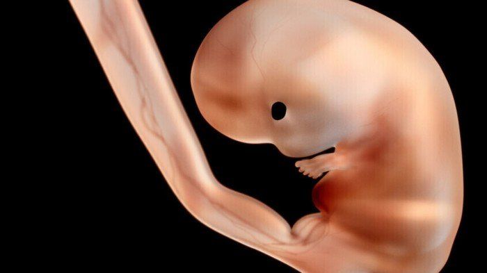 دراسة تؤكد أن إنجاب طفل واحد سببا رئيسيا في تطور الدماغ.. ما التفاصيل؟