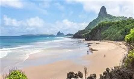 دراسة: ثلث سواحل العالم الرملية أصبحت صلبة بفعل هياكل صنعها الإنسان