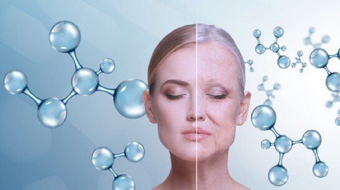 اكتشاف جزيء في الحمض النووي قد يُبطئ الشيخوخة ويحسن الصحة