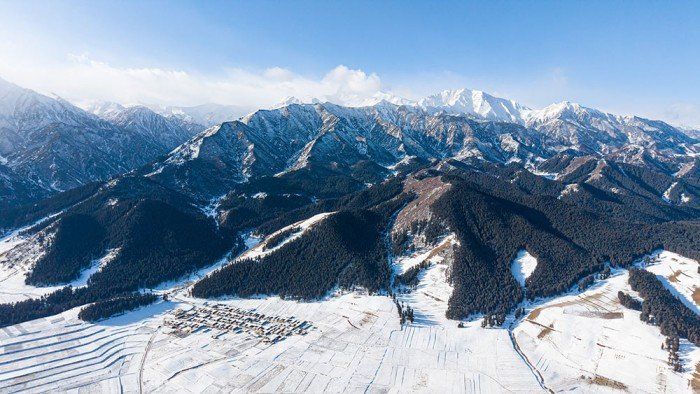 المحطة الفضائية الصينية تجري تجارب على تقنية التمثيل الضوئي الاصطناعي خارج كوكب الأرض