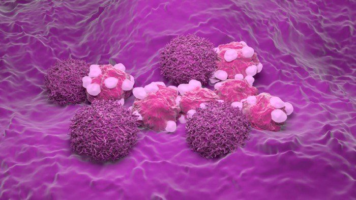 دراسة حديثة: لقاح جديد يبشر بثورة في علاج سرطان عنق الرحم