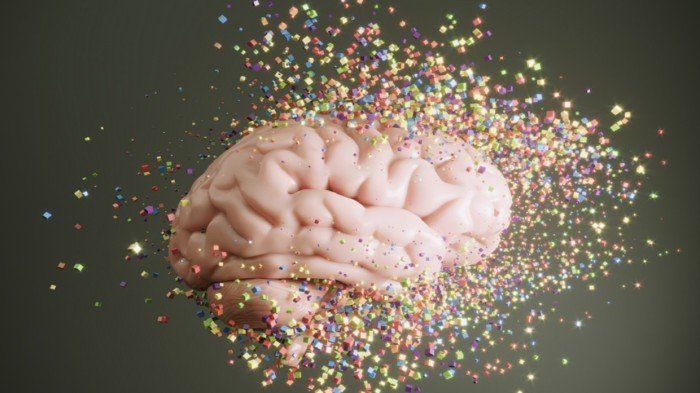 دراسة حديثة تحذر من تزايد مستويات البلاستيك الدقيق داخل الدماغ