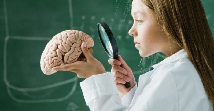 اكتشاف جديد يربط بين بنية الدماغ ومرض التوحد لدى الأطفال