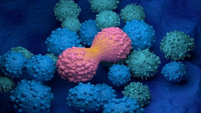 اختراق علمي في علاج السرطان.. إعادة برمجة الخلايا السرطانية إلى حالتها الطبيعية