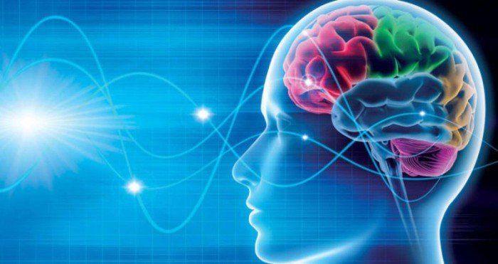 علماء أمريكيون يبتكرون كاميرا تحاكي الدماغ البشري وتعالج الصور فور التقاطها