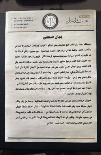 شاهد .. تطور جديد في قضية طلاق محمود عبد العزيز وبوسي شلبي.. ما سبب تسريب هذه الشائعة؟