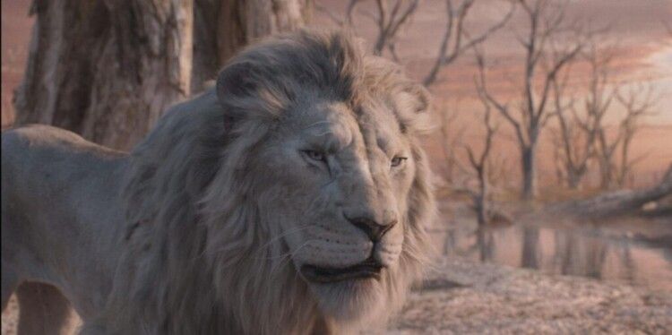شاهد .. "فيلم "Mufasa: The Lion King" يحقق إيرادات جديدة في شباك التذاكر العالمي