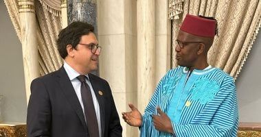 وزير الثقافة يلتقى نظيره المالى لبحث آليات التعاون المشترك