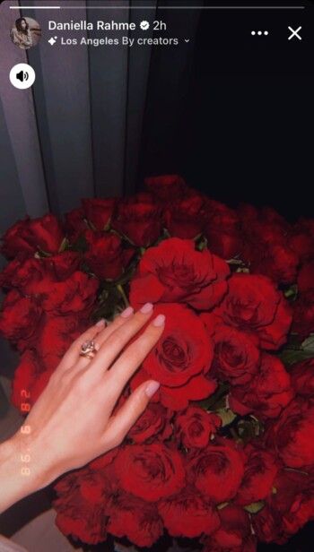 شاهد .. ناصيف زيتون يقدّم لـ دانييلا رحمة هذه الهدية في عيد الحب - بالصورة