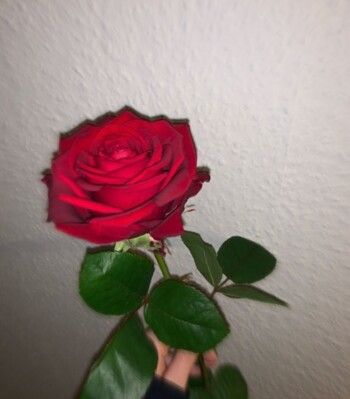 شاهد .. بالصور- هدى المفتي تخطف القلوب بإطلالتها السوداء