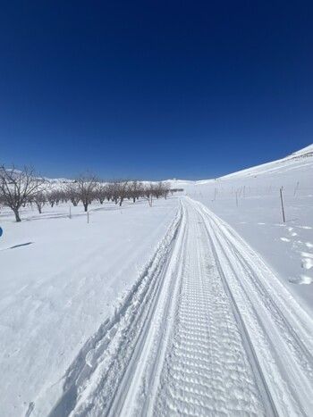 شاهد .. بياريت قطريب تمضي وقتها في أرز لبنان وتنشر هذه الصور الرائعة