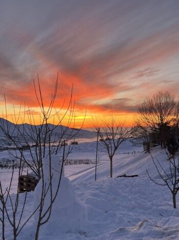 شاهد .. بياريت قطريب تمضي وقتها في أرز لبنان وتنشر هذه الصور الرائعة
