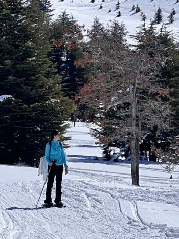 شاهد .. بياريت قطريب تمضي وقتها في أرز لبنان وتنشر هذه الصور الرائعة
